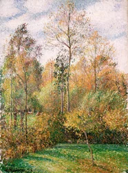 Automne, Peupliers, Éragny